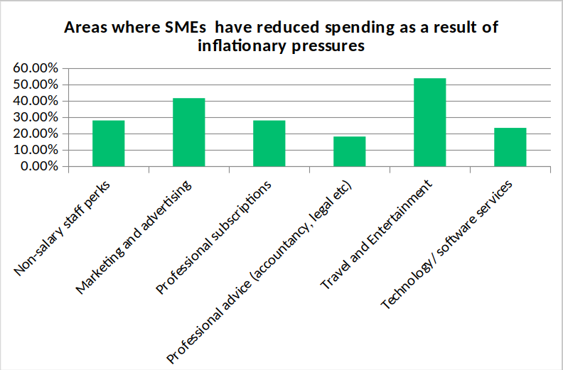 SME Reduced spending areas